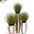 Exquisite 396 Plant Collection 3D model small image 1