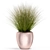 Exquisite 396 Plant Collection 3D model small image 2