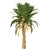 Set of 3 Silver Date Palm Trees 3D model small image 2