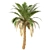 Set of 3 Silver Date Palm Trees 3D model small image 4