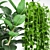 Easy Care Ficus & Elastica Collection 3D model small image 2