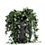 Exotic Ivy Collection | Indoor & Outdoor Décor 3D model small image 4