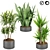 Lush Dracaena Collection: Vol. 6 3D model small image 1