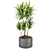 Lush Dracaena Collection: Vol. 6 3D model small image 3