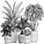 Tropical Plant Collection  Ravenala, Ficus, Bromelia  3D model small image 5