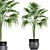 Title: Exotic Plant Collection in Black Vases 3D model small image 1