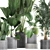 Exotic Plant Collection in Black Pots 3D model small image 2