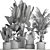 Exotic Plant Collection in Black Pots 3D model small image 5