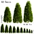 10 Stunning Thuja Occidentalis Trees 3D model small image 1