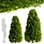 10 Stunning Thuja Occidentalis Trees 3D model small image 2
