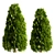 10 Stunning Thuja Occidentalis Trees 3D model small image 5