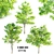 Elegant Ash Trees Trio 3D model small image 1