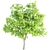 Elegant Ash Trees Trio 3D model small image 3