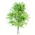 Exquisite Set of 3 Majestic Trees 3D model small image 4