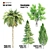 Evergreen Tree Set: Eucalyptus, Cypress, Palm & Cedar 3D model small image 1