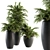 Tropical Oasis Indoor Plant Set 3D model small image 1