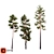 Syluestriformis Pine Set 2/3 3D model small image 1