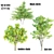 Exquisite Set of 21-Vray Tree Collection 3D model small image 1