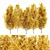 Luxury Fall Forest: Set of 5 Cypress Oak Trees 3D model small image 1