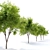 Gleditsia Triacanthos: Elegant Honey Locust 3D model small image 3