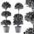 Lush Green Garden Decor - Set of 91 Topiary Balls 3D model small image 4