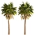 Triple Sabal Palm Tree Set - Lush Cabbage Palms 3D model small image 3