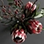 Elegant Protea & Eucalyptus Bouquet 3D model small image 9