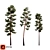 Pinus Sylvestriformis 3-Piece Set 3D model small image 1