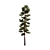 Pinus Sylvestriformis 3-Piece Set 3D model small image 2