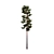 Pinus Sylvestriformis 3-Piece Set 3D model small image 4