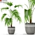 407 Plants Collection: Lush and Vibrant 3D model small image 1