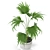 407 Plants Collection: Lush and Vibrant 3D model small image 2