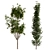 Greenery Delight: Planting Tree Set 3D model small image 1