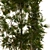 Greenery Delight: Planting Tree Set 3D model small image 3