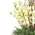 Outdoor Plant 001: Superior Quality and Lightweight 3D model small image 2