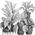 Exotic Rattan Plant Collection 3D model small image 5