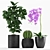 235 Indoor Plant Collection 3D model small image 2