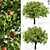 Giant Apple Tree 6s: Realistic 3D Model 3D model small image 1