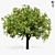Giant Apple Tree 6s: Realistic 3D Model 3D model small image 2