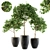 Lush Lemon Tree Set - Perfect for Outdoor Planting! 3D model small image 1