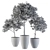 Lush Lemon Tree Set - Perfect for Outdoor Planting! 3D model small image 5