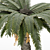 Sculpted Date Palm Tree 3D model small image 3