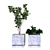  Greenery Delights: Plant Box Set 3D model small image 2