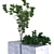  Greenery Delights: Plant Box Set 3D model small image 5