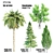 Diverse Set of Beautiful Trees 3D model small image 1