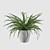 Elegant Fern Indoor Plant 3D model small image 3