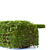 Birch-leaved Hedge Spirea Kit 3D model small image 3