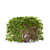 Birch-leaved Hedge Spirea Kit 3D model small image 4