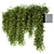 Lush Greens Set - Hanging Plants 3D model small image 2