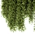 Lush Greens Set - Hanging Plants 3D model small image 4